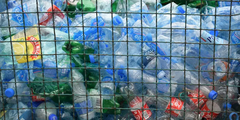 Sorted plastic bottles collected for recycling