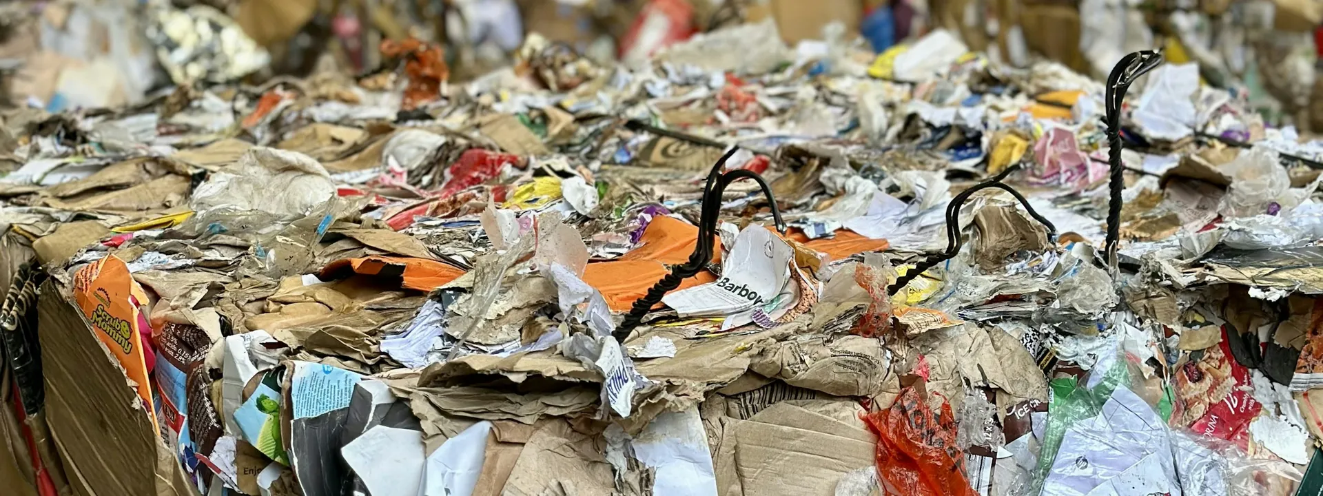 Baled recyclable material staged throughout a processing facility
